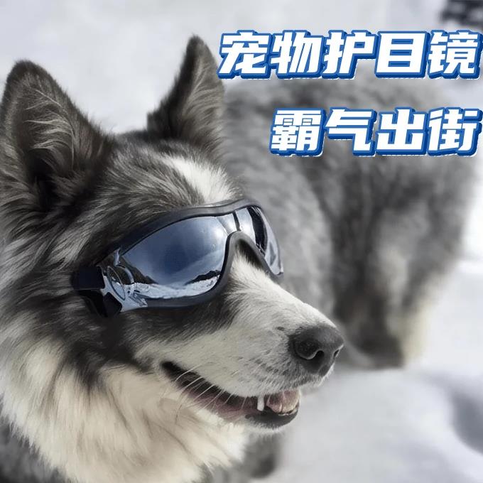宠物护目镜狗狗专用中大型犬帅气防风防沙墨镜柯基边牧金毛太阳镜