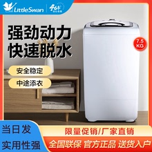 小天鹅脱水机甩干机家用小型甩干桶脱干机单脱水桶正品
