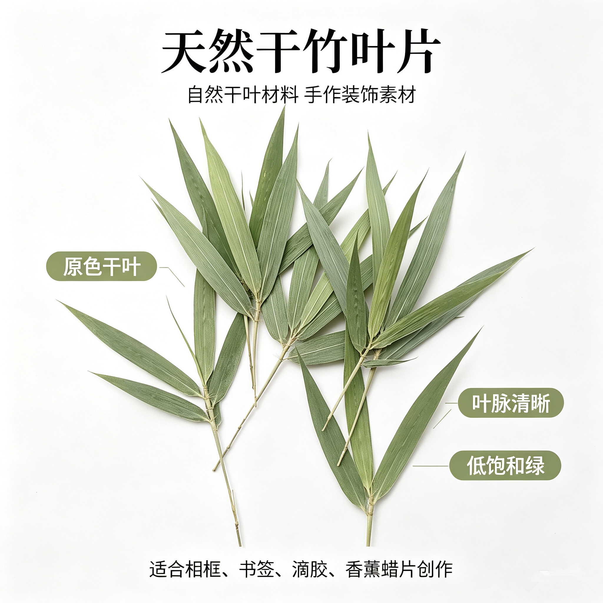 竹子叶子树枝风干花真植物标本压花diy材料包手工制作粘贴画相框
