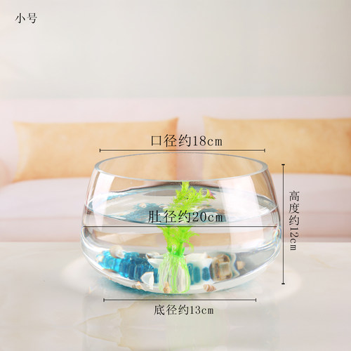鱼缸玻璃圆形办公桌黄金葛水培家用小鱼创意透明小型迷你桌面乌龟