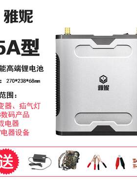 雅妮锂电池12v大容量小体积超轻大功率超轻三元磷酸铁锂电瓶正品