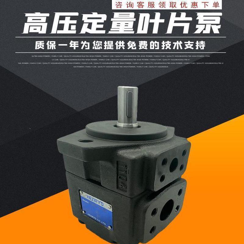 高压叶片泵PV2R1液压油泵永灵pv2r2定量液压泵总成配件pv2r3泵头
