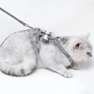 宠物猫咪牵引绳遛猫绳蓝猫幼猫外出防挣脱专用猫绳子链子狗狗用品