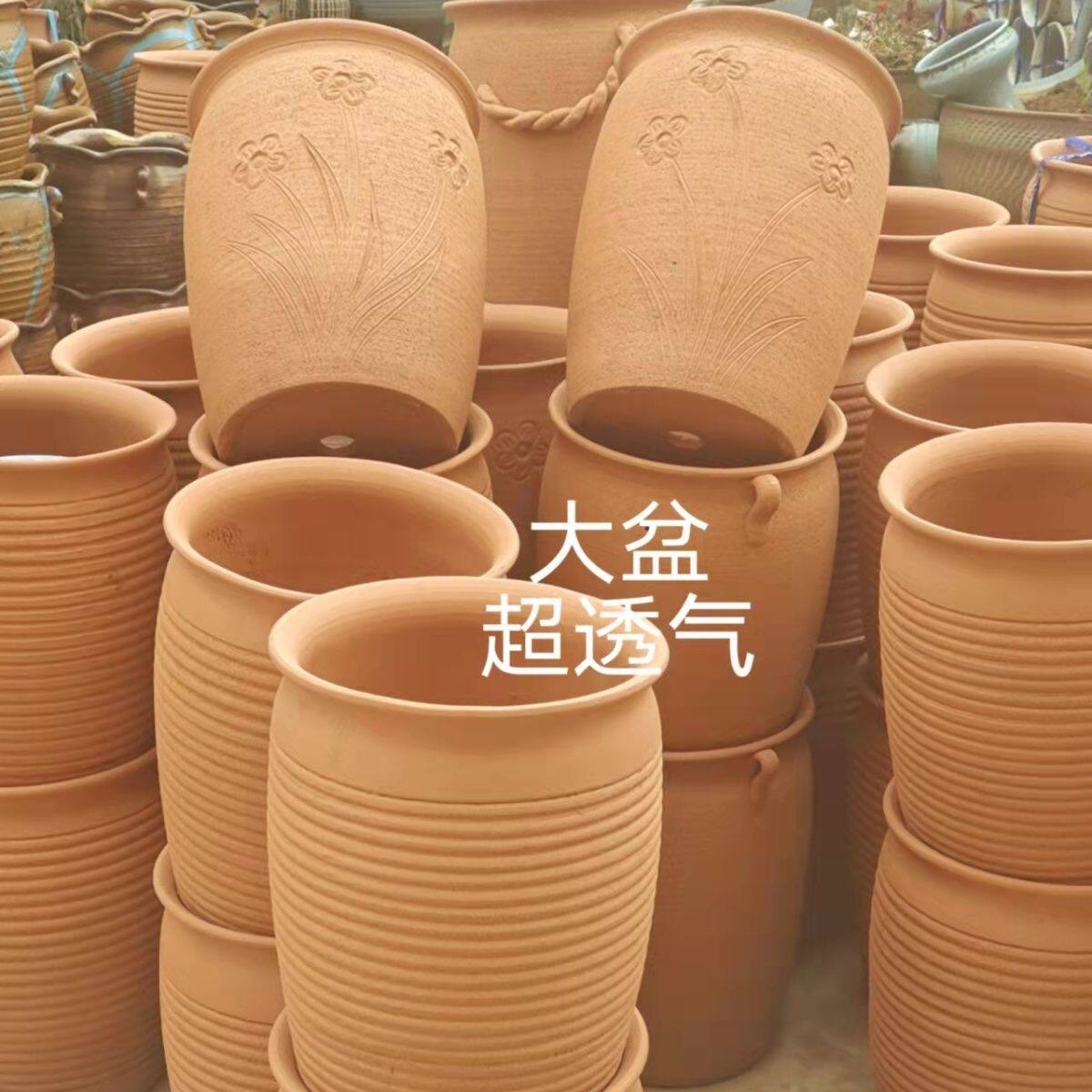 新疆包邮特大号红陶老桩