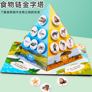 科学实验食物链金字塔diy科技小制作 儿童手工学生生物材料包