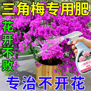 三角梅开花专用肥硫酸亚铁花肥料促花养花复活液喜酸植物营养肥
