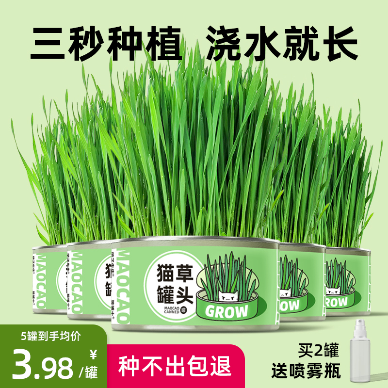 速发薄草罐头懒人种植猫零食化毛小麦猫栽猫盆荷猫咪用品