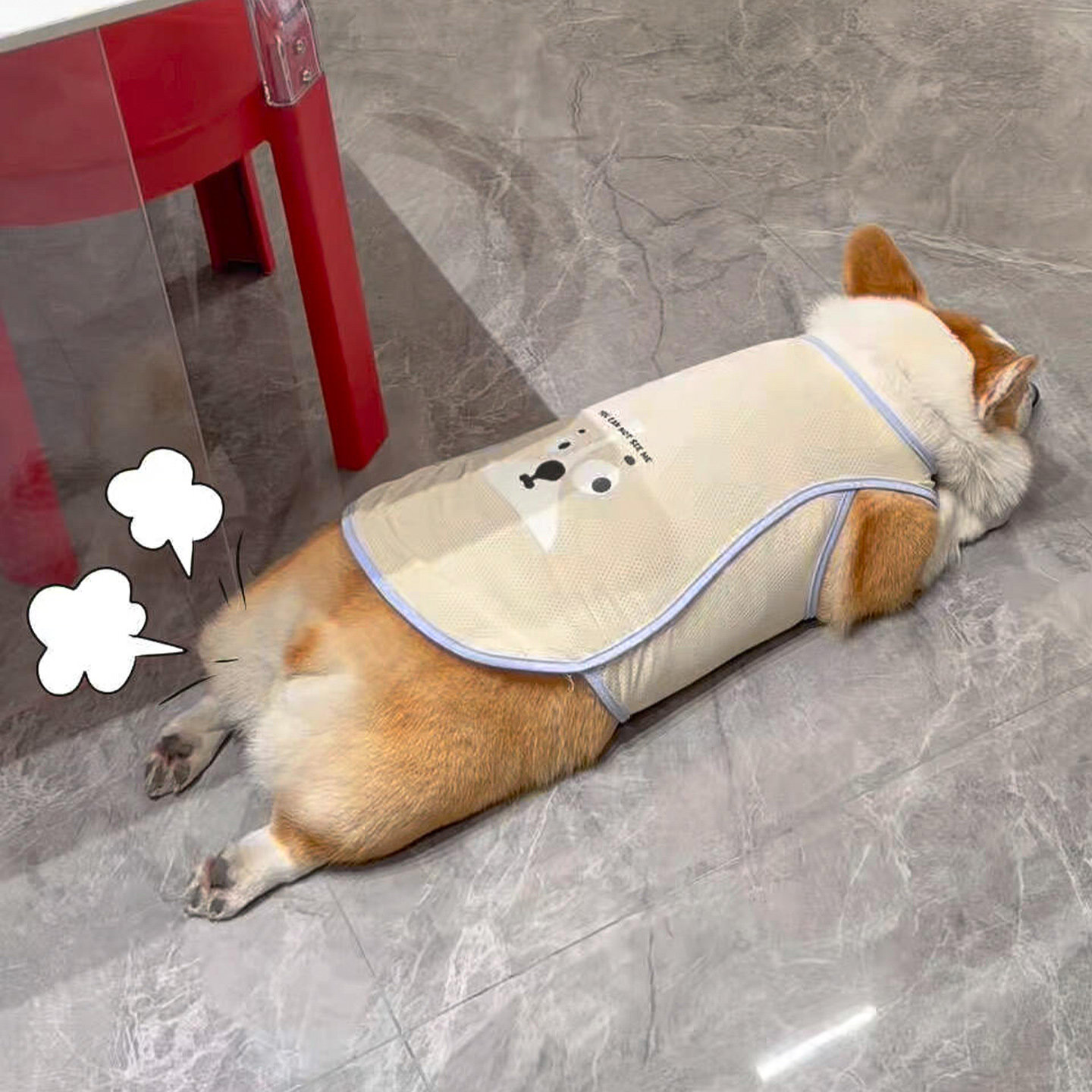 夏季狗狗透气冰丝凉凉衣柯基法斗比熊宠物猫咪家居服睡衣户外衣服