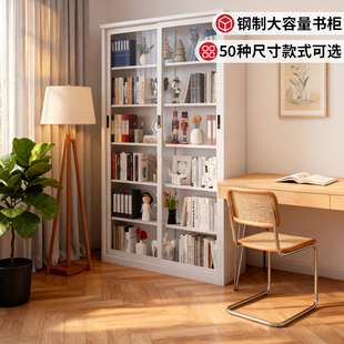 新型书柜钢制带柜门防潮防尘置物架客厅大容量无甲醛推拉门收纳柜
