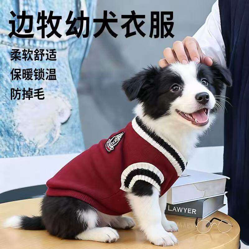 边牧幼犬衣服小狗专用过冬装帅气