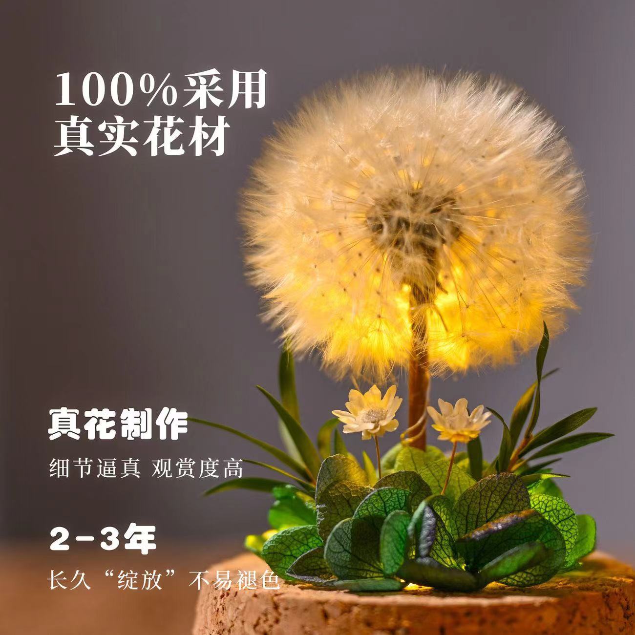 夜灯永生干花蒲公英标本玻璃罩送