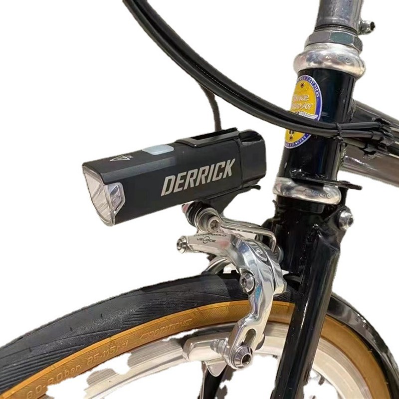 DK山地公路自行车前灯德规防炫下挂 吊装防雨RS夜骑R行 GS1500流