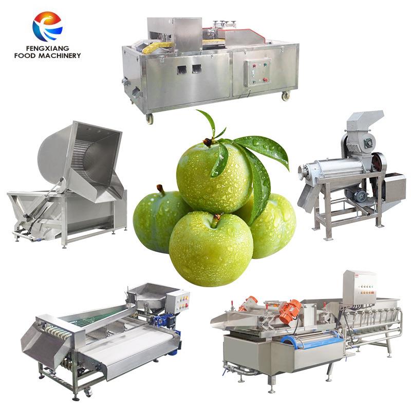 工厂直销水果李子清洗去核榨汁加工设备大小果分级气泡清洗