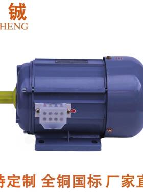 厂家供应JW6312-250W电动机2级2800转小型电动机三相异步电动机