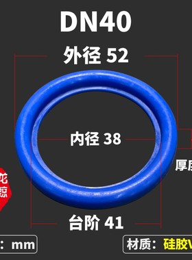 DN活接头密封圈/蓝色硅胶DIN密封垫片/卫生级O型圆螺纹焊接活接垫