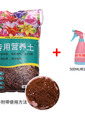 金边瑞香专用土盆栽种花泥土专用营养土通用透气种植土养花土肥料