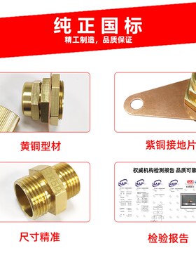 BTTRZ矿物质电缆终端头RTTZ接头终端卡子铜单芯接地YTTW铜鼻国标