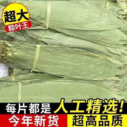 2025干粽叶加大号端午节麻竹叶草绳新鲜包粽子的竹叶子干粽叶商用