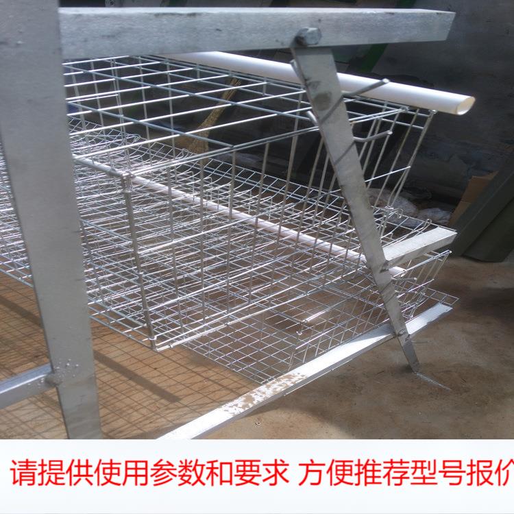 现货供应不生锈 蛋鸡笼出口养殖笼子 镀锌阶梯式四层四门蛋鸡笼子