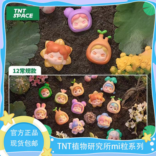 植物研究所萌粒TNTSPACE现货