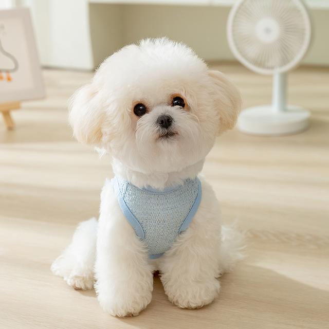 [达人]宠物狗狗背心镂空透气可牵引夏季薄款小型犬泰迪防掉毛0053