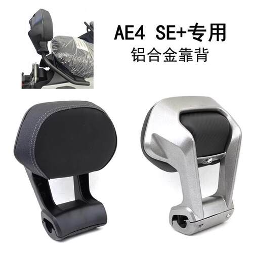 适用极核AE4SE+电动车铝合金后靠背 EZ3铁管扶手铝腰靠直上专用