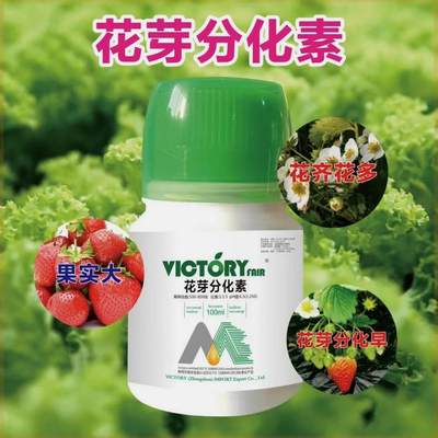 VICTORY FAIR维柯托瑞花芽分化素授粉开花现蕾分化细胞分裂果树y