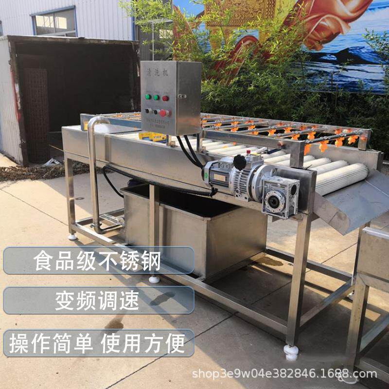 食品级不锈洗清机根茎蔬菜URHE型毛辊清洗机钢 生姜毛辊去泥设类