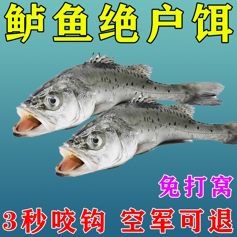 鲈鱼专用饵料淡水海钓鲈鱼反应饵诱鱼诱食剂小药钓鲈鱼神器颗粒饵