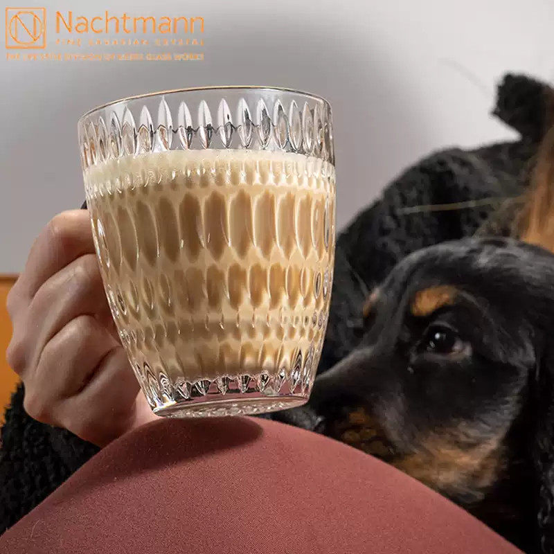 Nachtmann德国进口水晶玻璃高档咖啡杯套装家用轻奢高级感红茶杯