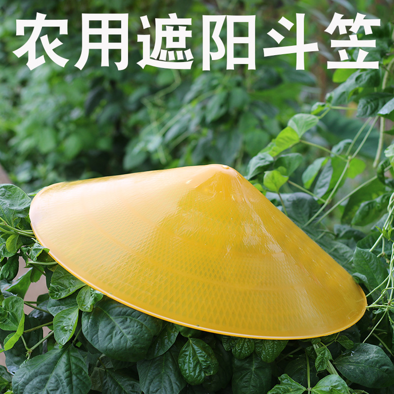 塑料斗笠仿竹编草帽遮阳防水雨晒