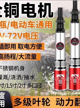 直流深井潜水泵家用井水电瓶电动车12v48v72v伏高扬程深水井水泵