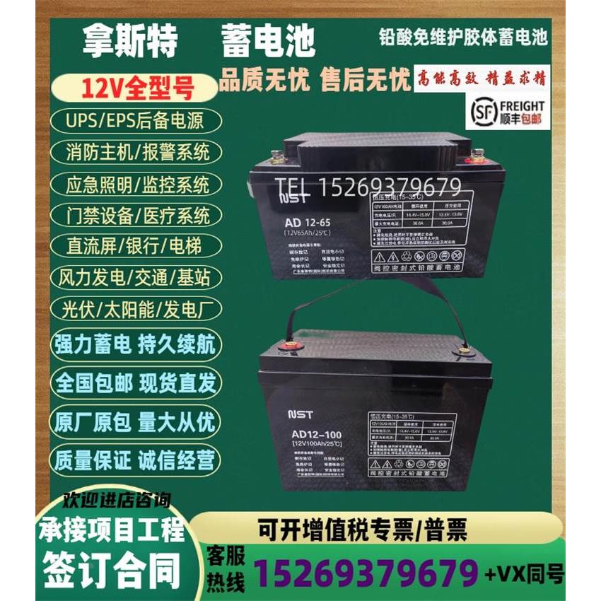 NST拿斯特蓄电池AD12-100 12V100AH65AH38AH24AH应急照明消防主机