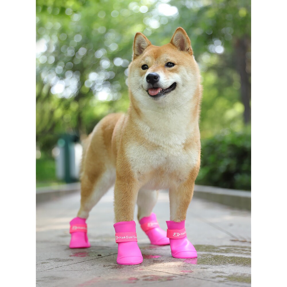 狗雨靴防水防脏鞋脚套狗狗鞋套柴犬鞋子狗鞋防掉中型犬防水鞋防滑