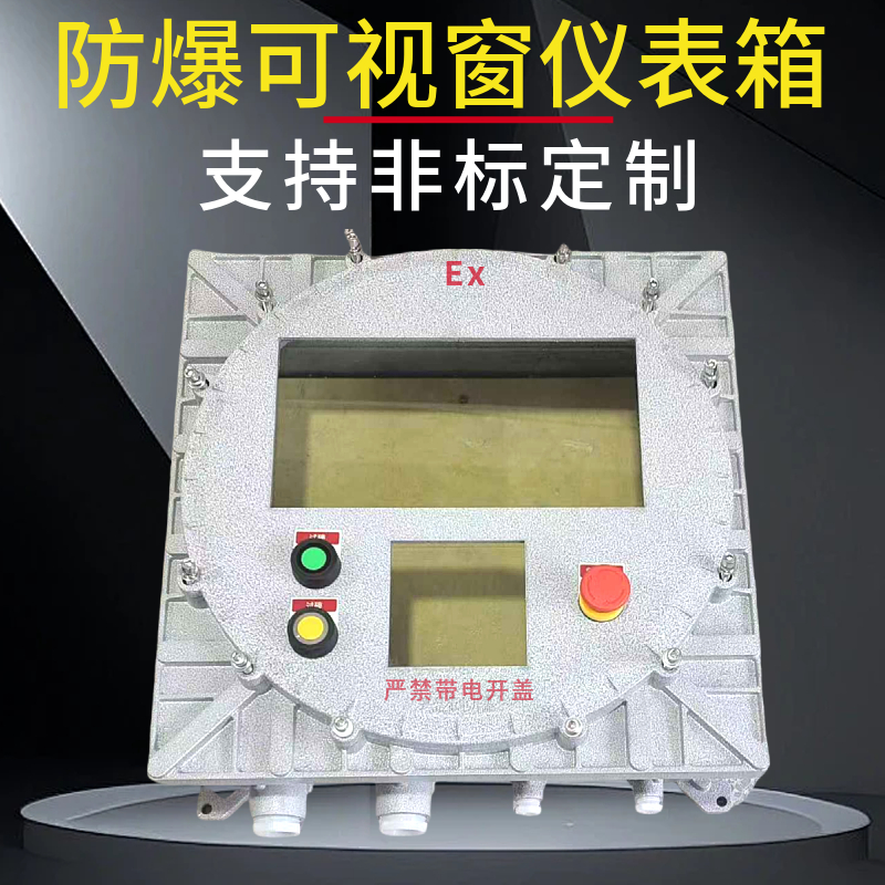 支持定制可视窗防爆仪表配电箱