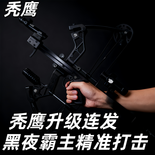 新款枪式复合弓户外精准打击