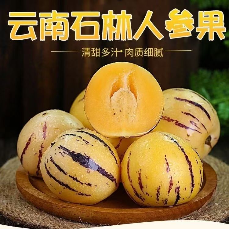 云南石林高原树上熟人参果圆果大果新鲜现摘黄肉多汁大人生果水果