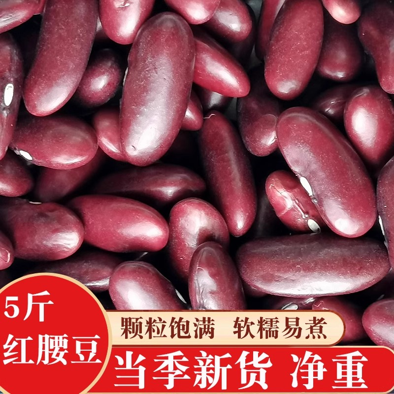 红腰豆新货云南红芸豆大红豆五谷杂粮豆沙新鲜煮汤大熬粥粗粮尝鲜