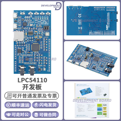 NXPLPC54110开发板模块