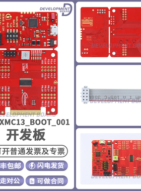 KIT_XMC13_BOOT_001 XMC1302 TSSOP-38单片机 XMC1300 mcu开发板