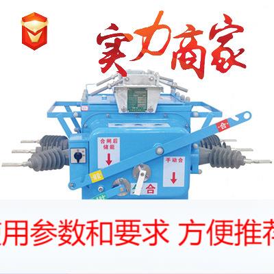 10kv户外高压真空断路器FZW28-12F/630智能分界开关FZW28 VSP5-12