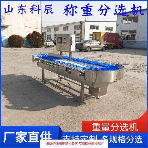 全自动大型土豆分选机 水果橙子重量分选机 自动称重圣女果分选机