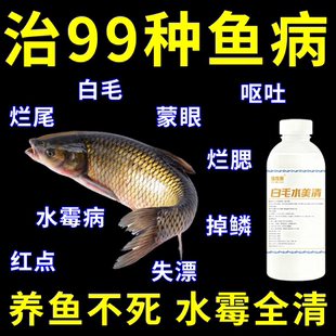 鱼药鱼病专用药白点净鱼药养鱼鱼池鱼塘白毛水霉病专治鱼药水霉净