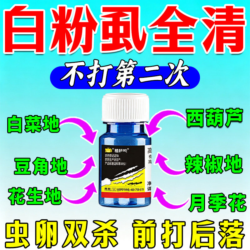 白粉虱专用强效灭白飞虱杀I虫剂花卉植物蔬菜通用专灭小飞虫专用