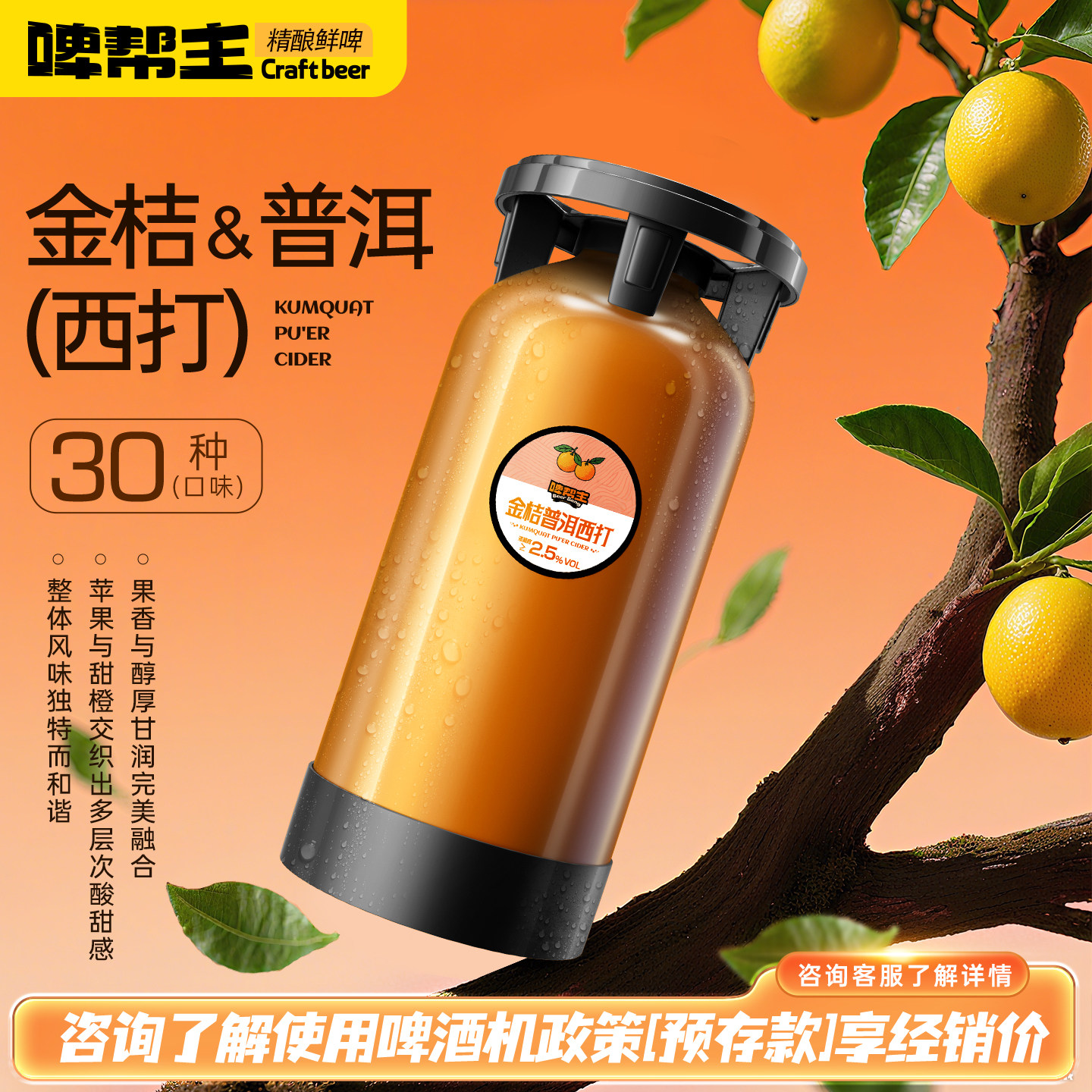 原浆鲜啤国产精酿啤酒20L升桶啤酒