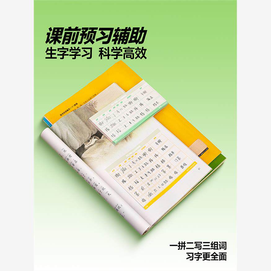 중국 1학년 2학년 3학년 학생들을 위한 외모가 좋은 초등학생을 위한 카시미르의 단어 미리보기 카드 접착식 메모지