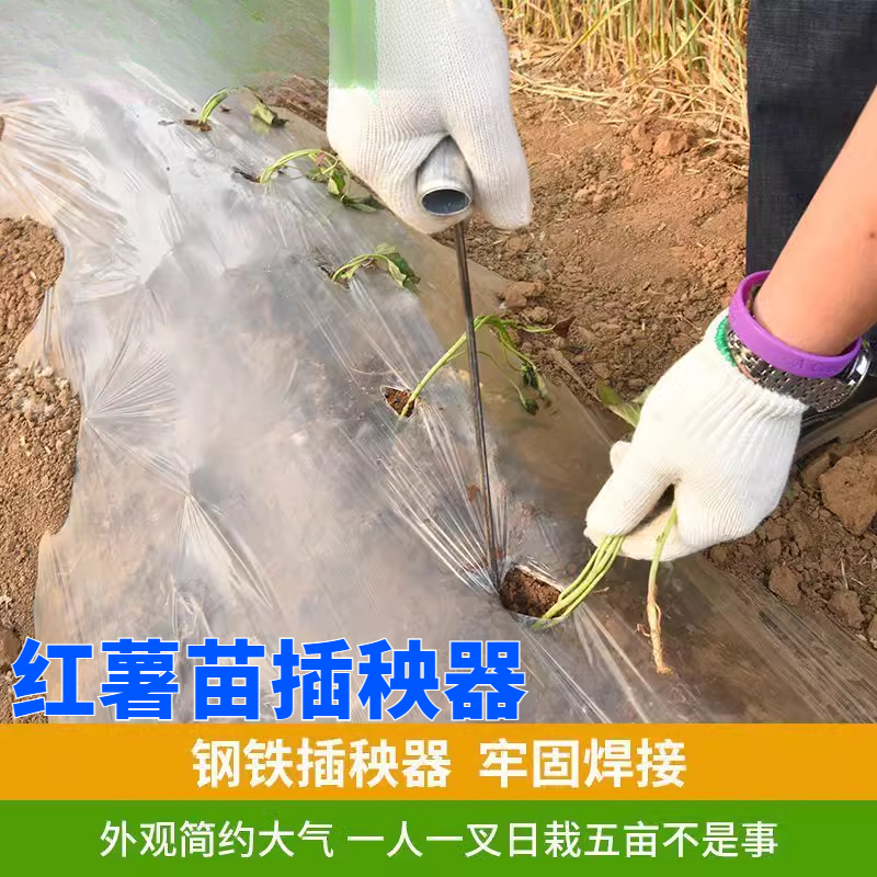 红薯栽苗器地瓜插苗器蔬菜空心菜种植工具叉子平栽工具葱苗栽苗器