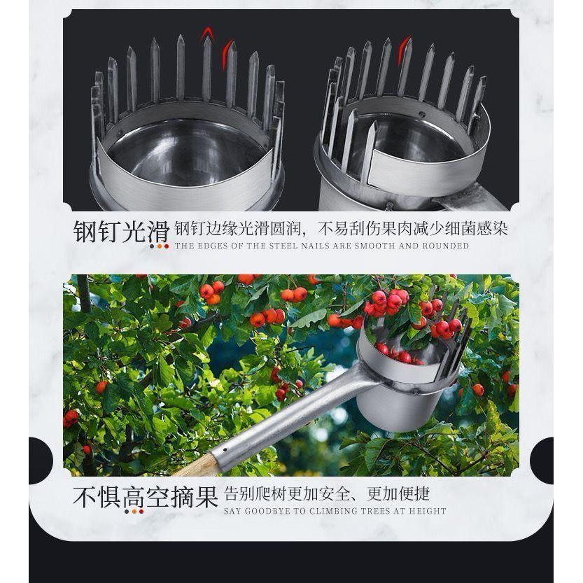 加厚2024新款酸枣不锈钢摘果器采果山枣柏树神器小枣工具扎手
