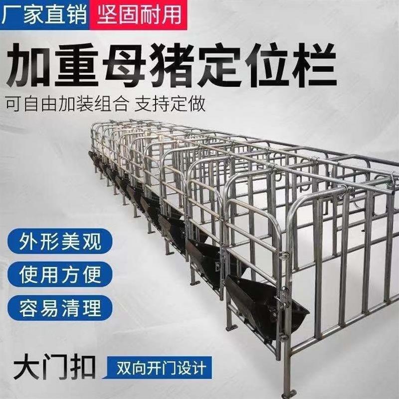 德国进口母猪定位栏2.5复合板限位栏5位10位包邮养猪养殖设备猪产