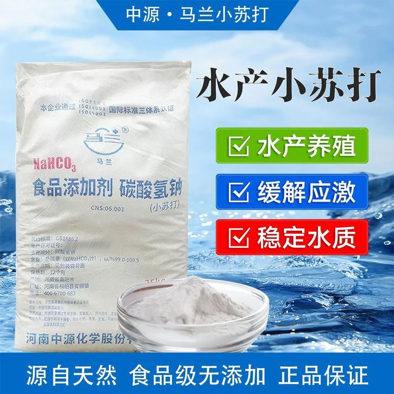 天然碳酸氢钠水产养殖发酵清洁用